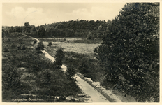 9643 Gezicht op een heideveld in de Kaapse Bossen bij Doorn.